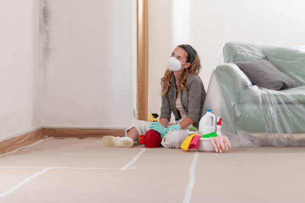 Reliable Mold Removal contractor in Tewksbury, MA by WQB Mold Removal